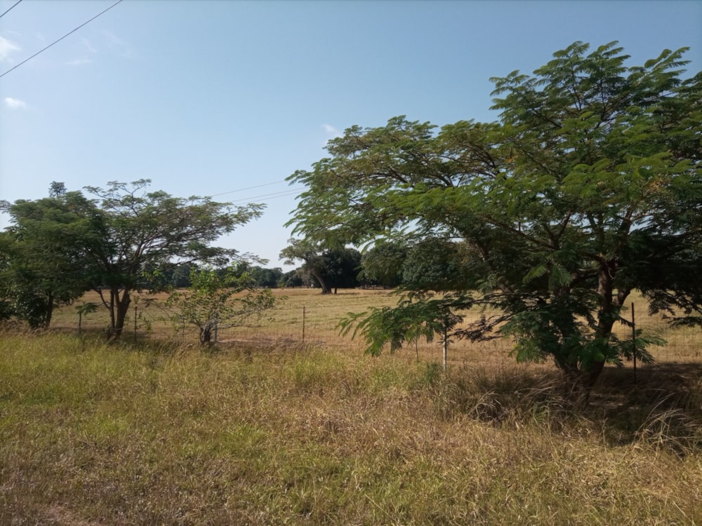 Commercial vacant land for sale in Ngwerere, Lusaka, Zambia - 3ZA1583043