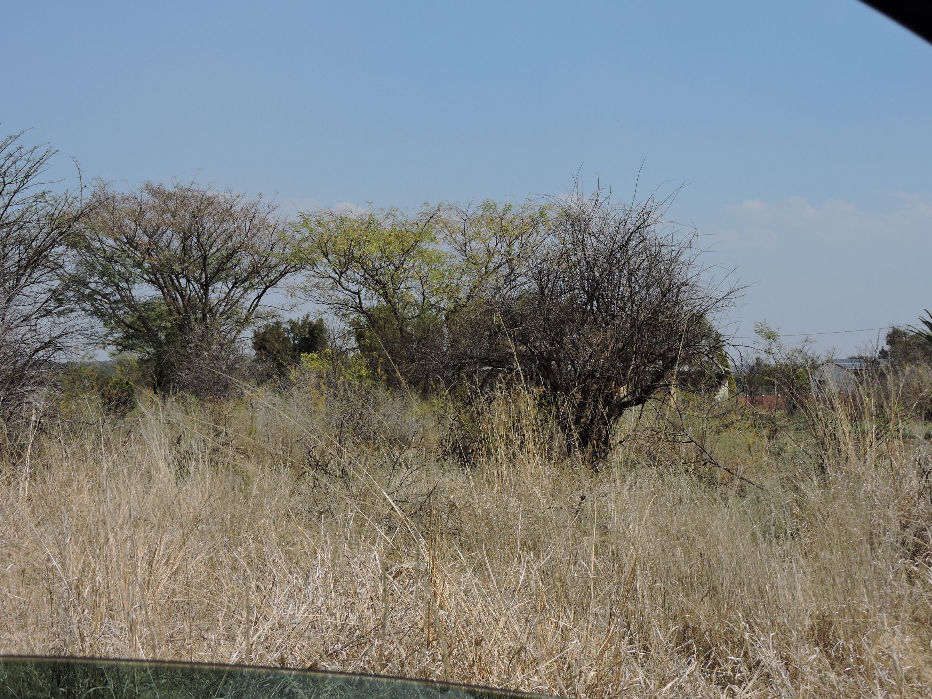 Residential vacant land for sale in Swartruggens - 1RU1583069