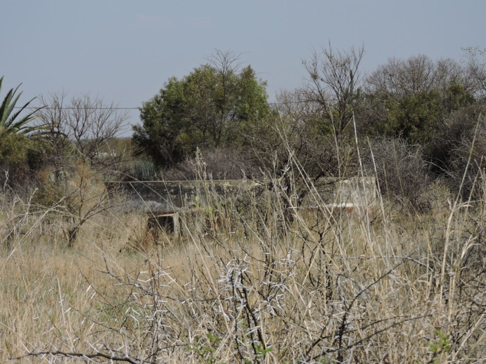 Residential vacant land for sale in Swartruggens - 1RU1583085