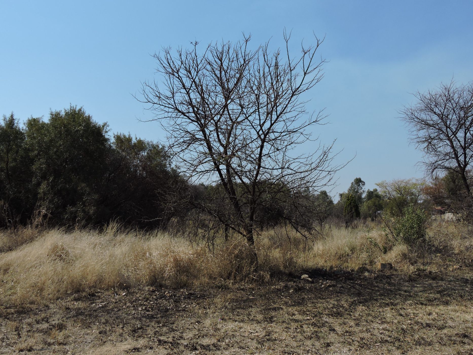 Residential vacant land for sale in Swartruggens - 1RU1583094