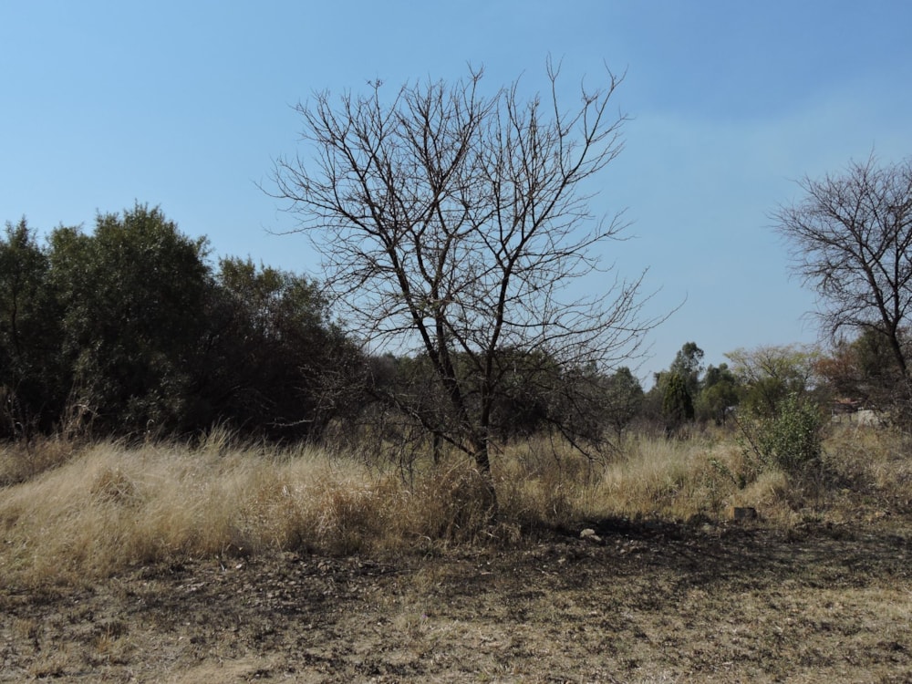 Residential vacant land for sale in Swartruggens - 1RU1583094