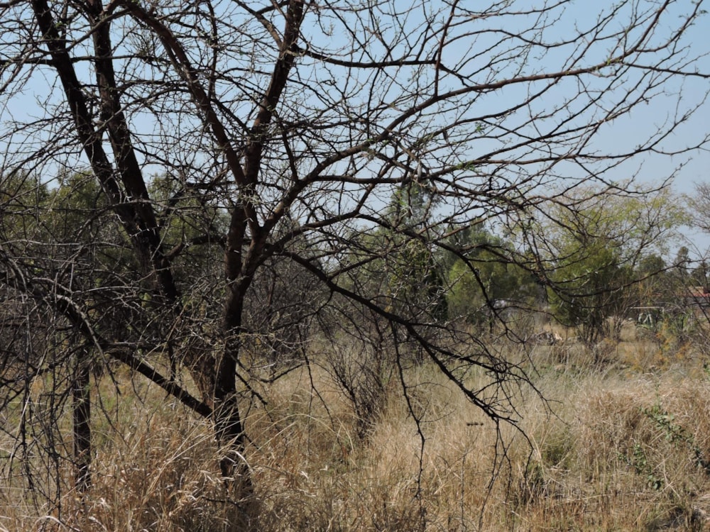 Residential vacant land for sale in Swartruggens - 1RU1583094