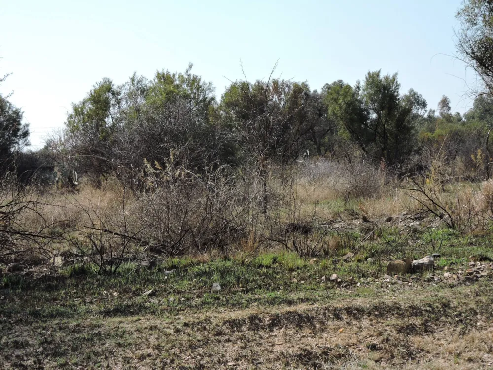 Residential vacant land for sale in Swartruggens - 1RU1583094 Residential vacant land for sale in Swartruggens - 1RU1583094