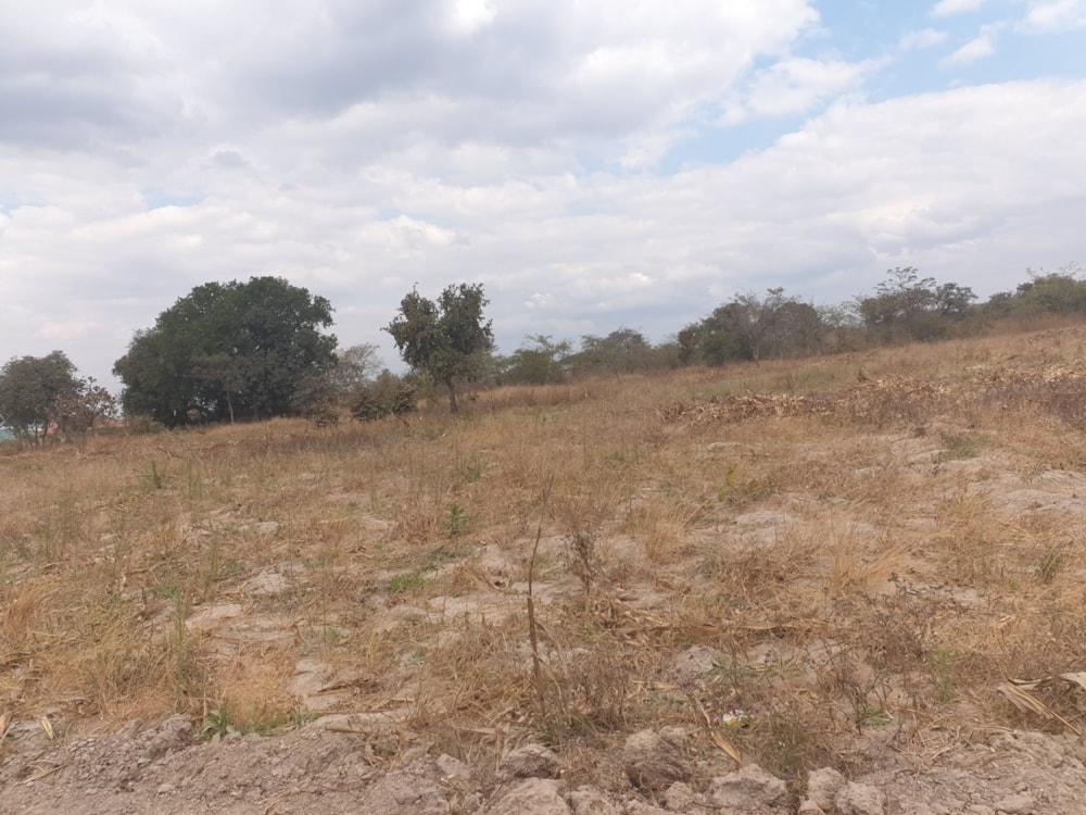 Vacant land for sale in Silverest, Zambia - 3ZA1583392