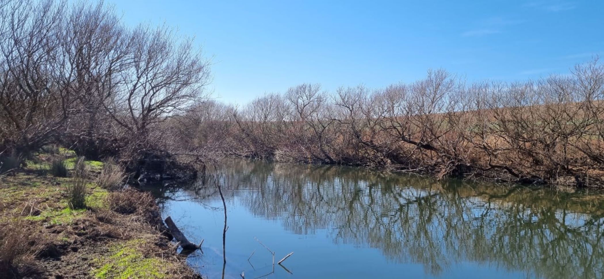 Smallholding for sale in Mooi River - 1PM1581545