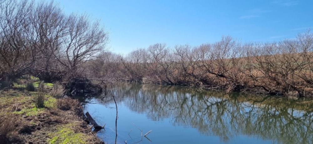 Smallholding for sale in Mooi River - 1PM1581545