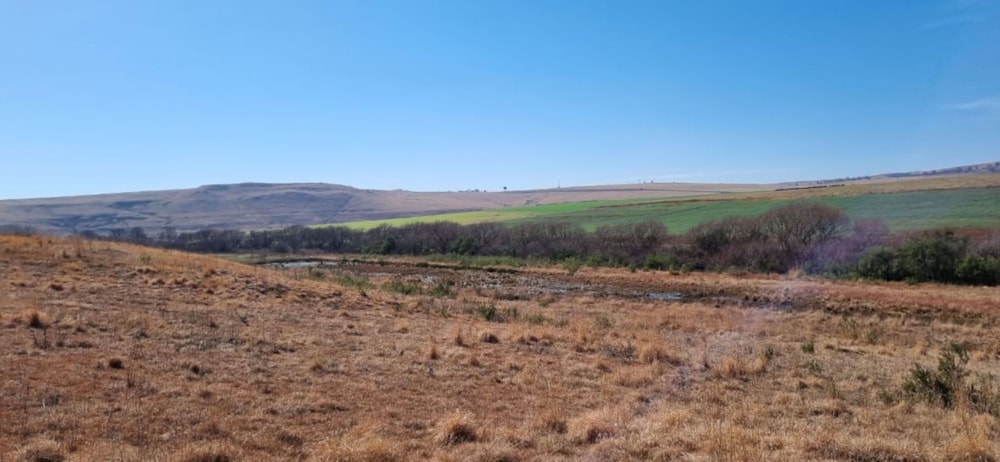 Smallholding for sale in Mooi River - 1PM1581545 Smallholding for sale in Mooi River - 1PM1581545