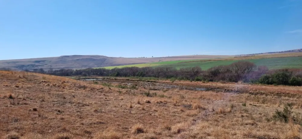 Smallholding for sale in Mooi River - 1PM1581545 Smallholding for sale in Mooi River - 1PM1581545