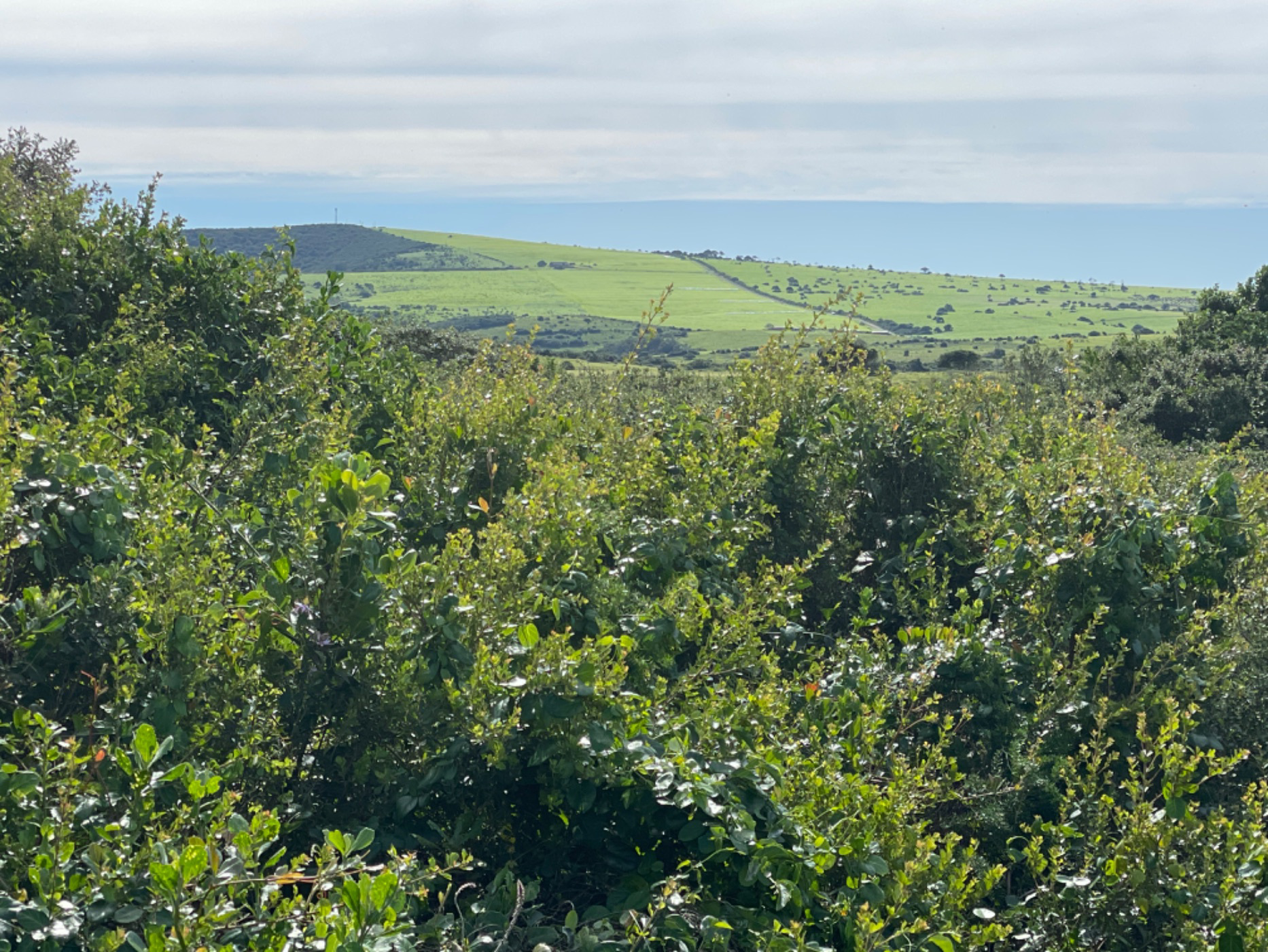 Vacant land for sale in Boknesstrand - 1KO1750719