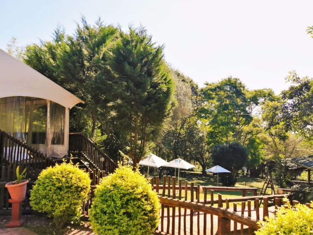 Function venue for sale in Thornville - 1PM1745699 Function venue for sale in Thornville - 1PM1745699