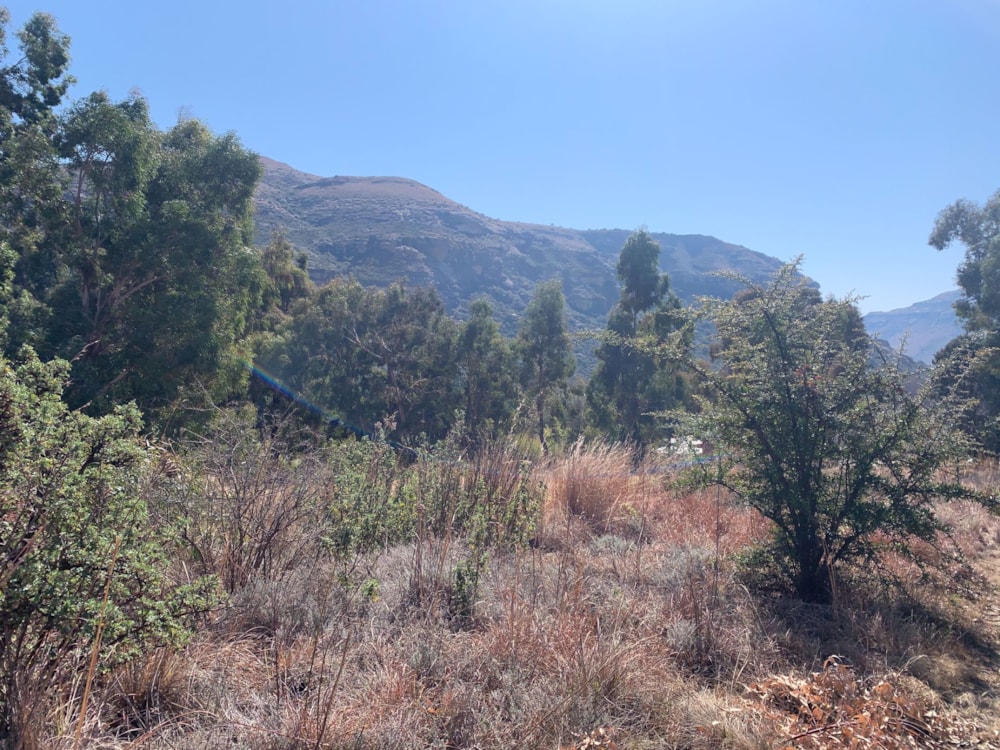 Residential vacant land sold in Clarens - 1CS1581028 Residential vacant land sold in Clarens - 1CS1581028