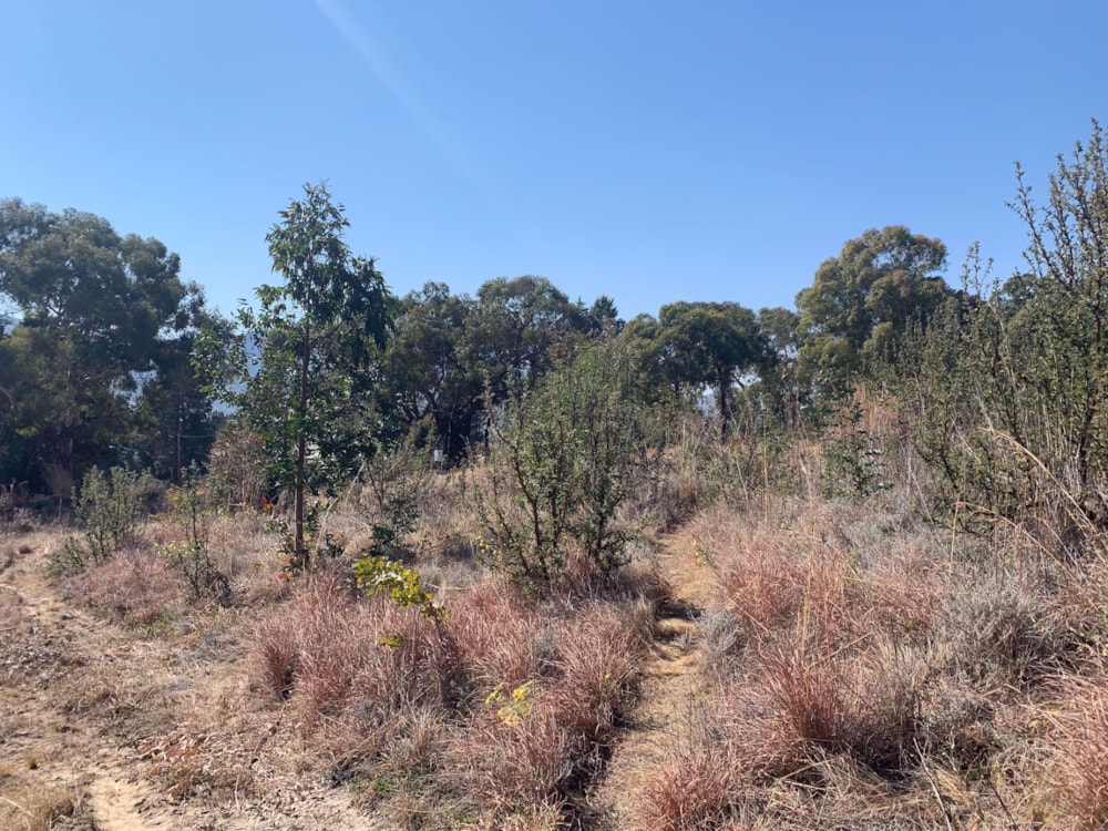 Residential vacant land sold in Clarens - 1CS1581028 Residential vacant land sold in Clarens - 1CS1581028