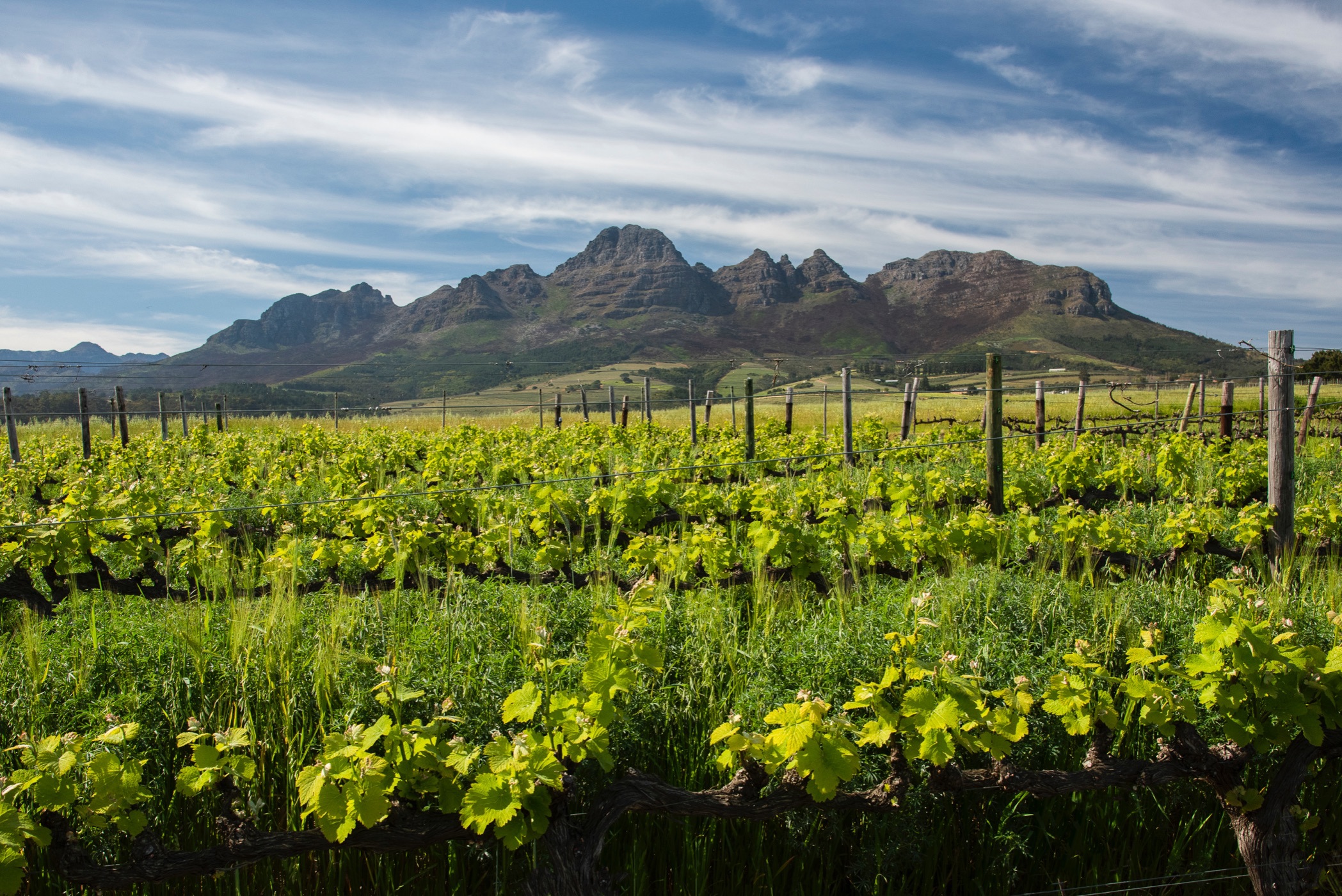 Lifestyle property sold in Stellenbosch Farms - ST1625482