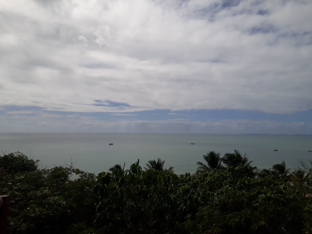 Vacant land for investment in Inhassoro, Mozambique - 3MQ1584294 Vacant land for investment in Inhassoro, Mozambique - 3MQ1584294