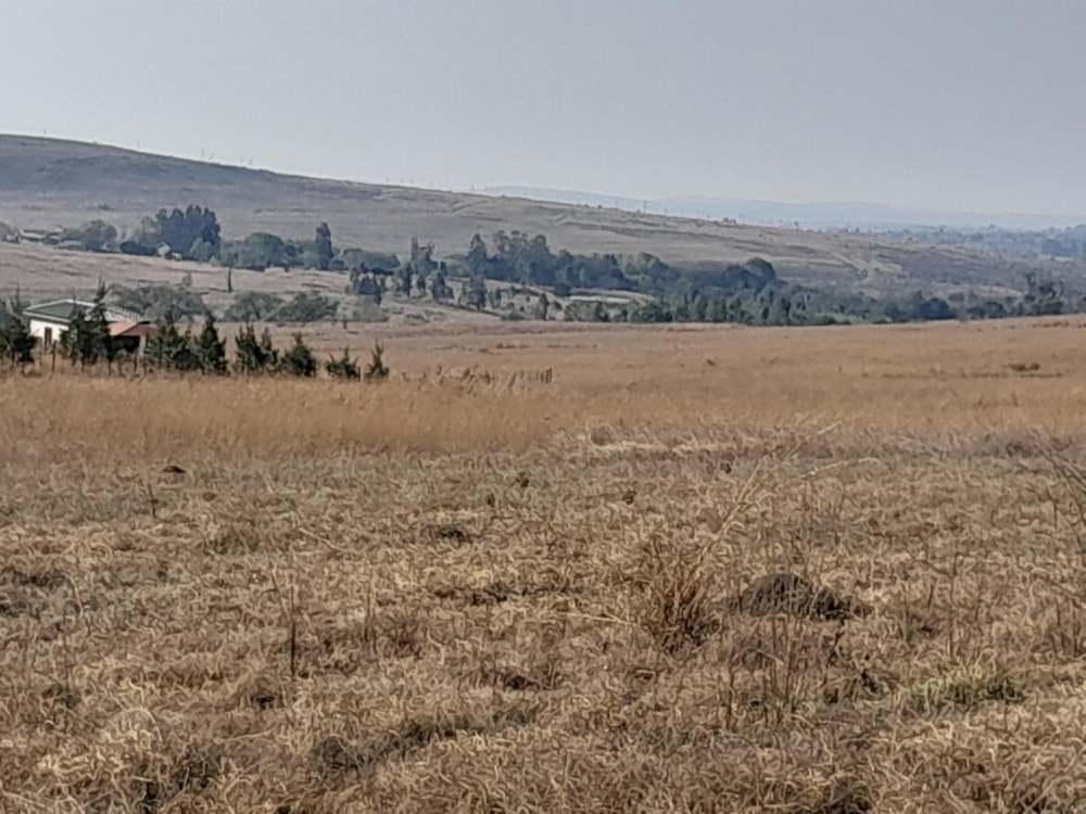 Vacant land for sale in Lydenburg (Mashishing) - 1LY1584595