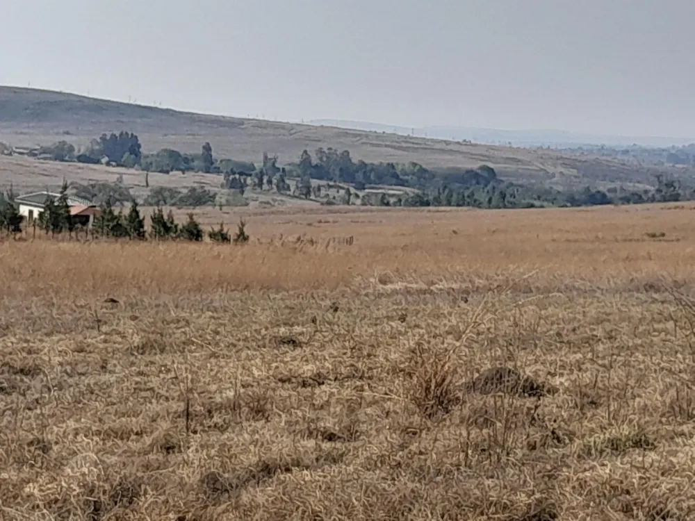 Vacant land for sale in Lydenburg (Mashishing) - 1LY1584595 Vacant land for sale in Lydenburg (Mashishing) - 1LY1584595