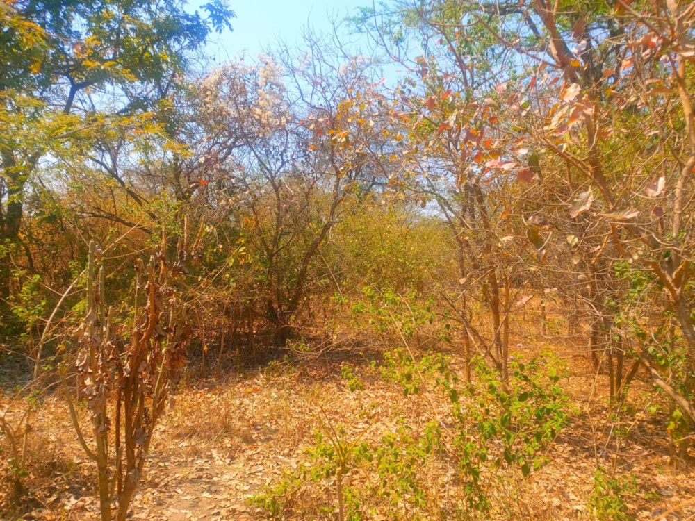 Vacant land for sale in Roan Park, Lusaka Province, Zambia - 3ZA1585851