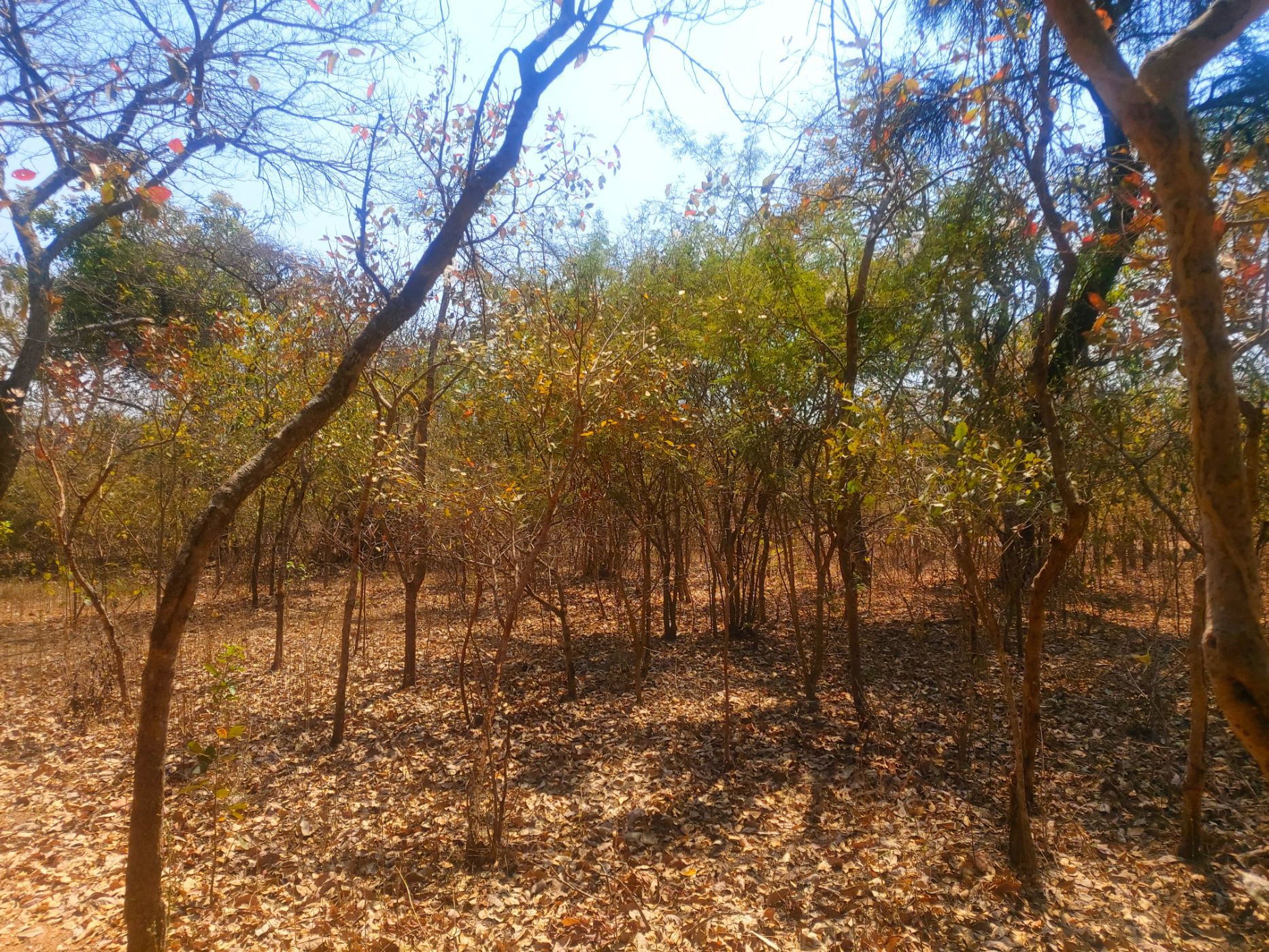 Vacant land for sale in Roan Park, Lusaka Province, Zambia - 3ZA1585851
