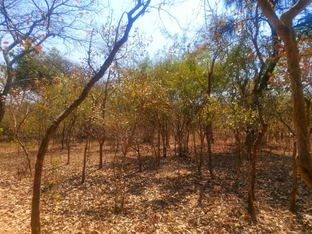 Vacant land for sale in Roan Park, Lusaka Province, Zambia - 3ZA1585851