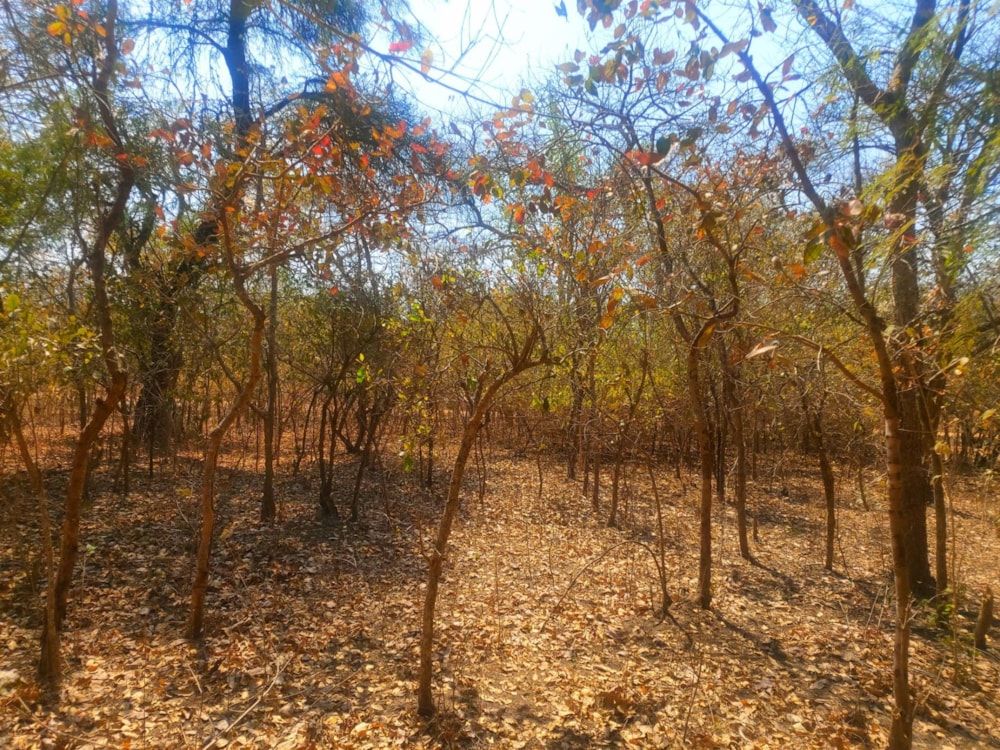 Vacant land for sale in Roan Park, Lusaka Province, Zambia - 3ZA1585851