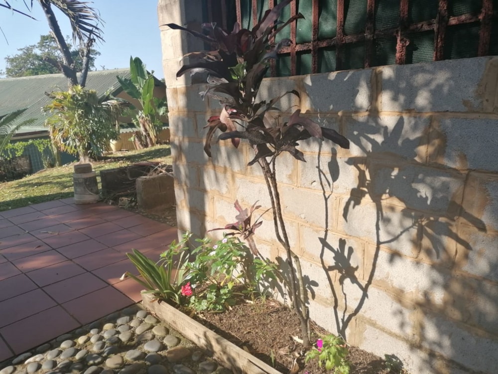 House for sale in Port Edward - 1PD1584826 House for sale in Port Edward - 1PD1584826