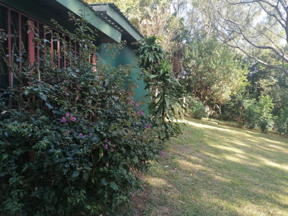 House for sale in Port Edward - 1PD1584826 House for sale in Port Edward - 1PD1584826