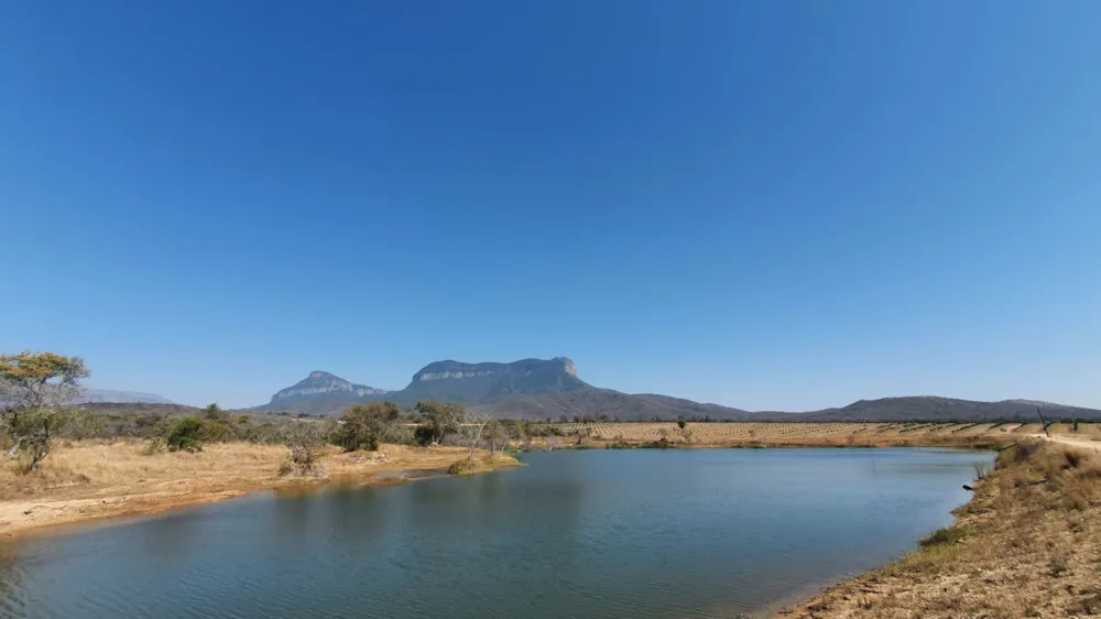 Mixed use farm for sale in Hoedspruit - 1HS1584916