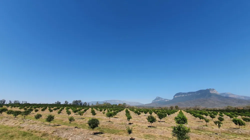 Mixed use farm for sale in Hoedspruit - 1HS1584916