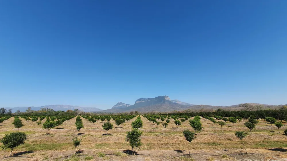 Mixed use farm for sale in Hoedspruit - 1HS1584916