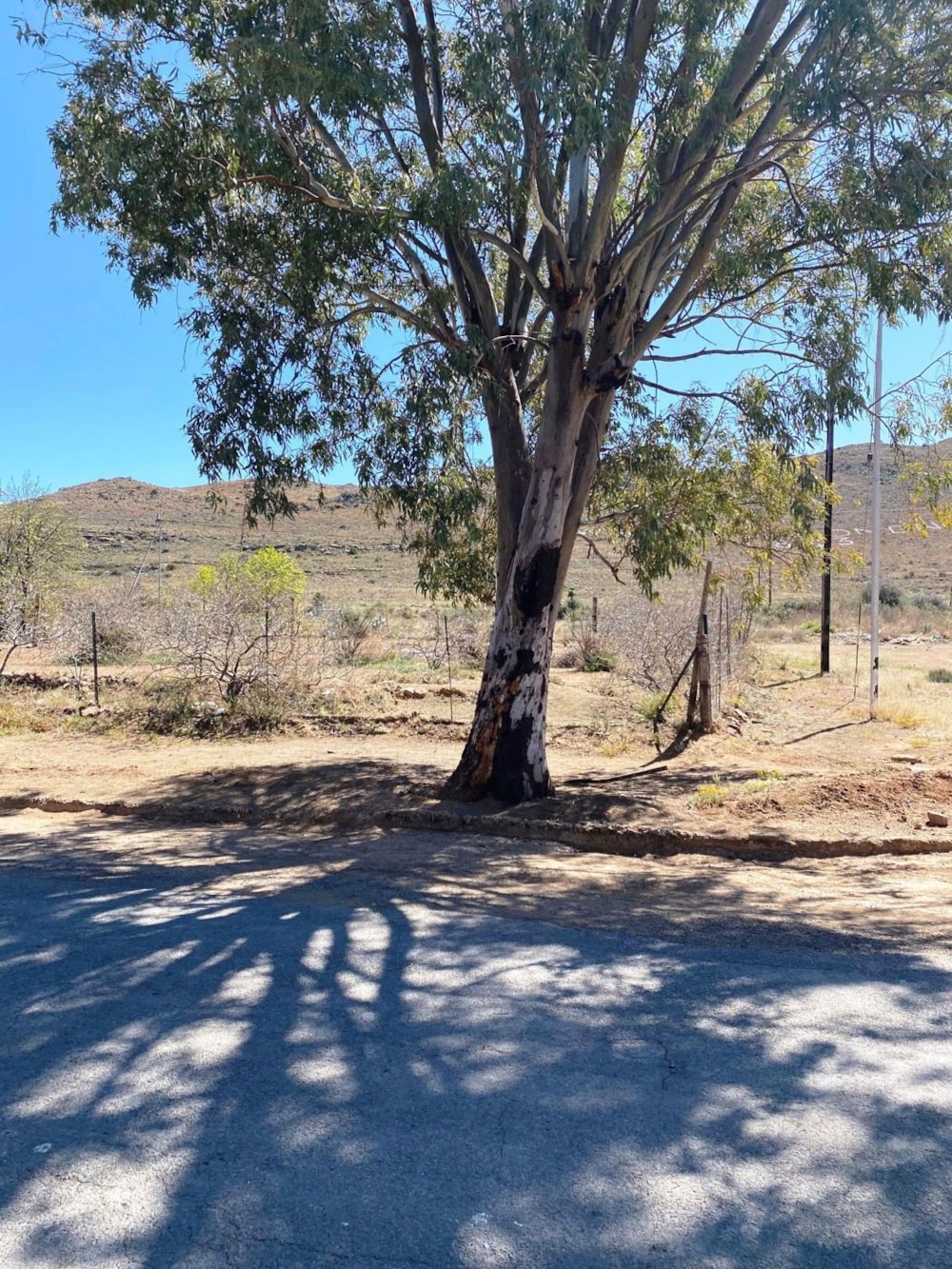 Vacant land sold in Richmond, Northern Cape - 1KK1696941 Vacant land sold in Richmond, Northern Cape - 1KK1696941