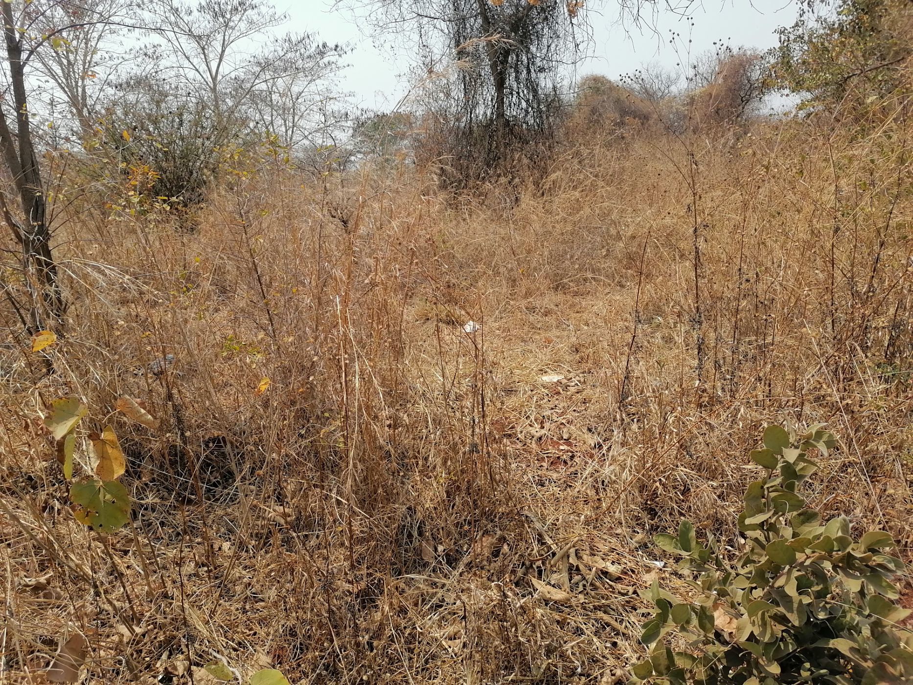 Residential vacant land for sale in Leopards Hill, Zambia - 3ZA1589224
