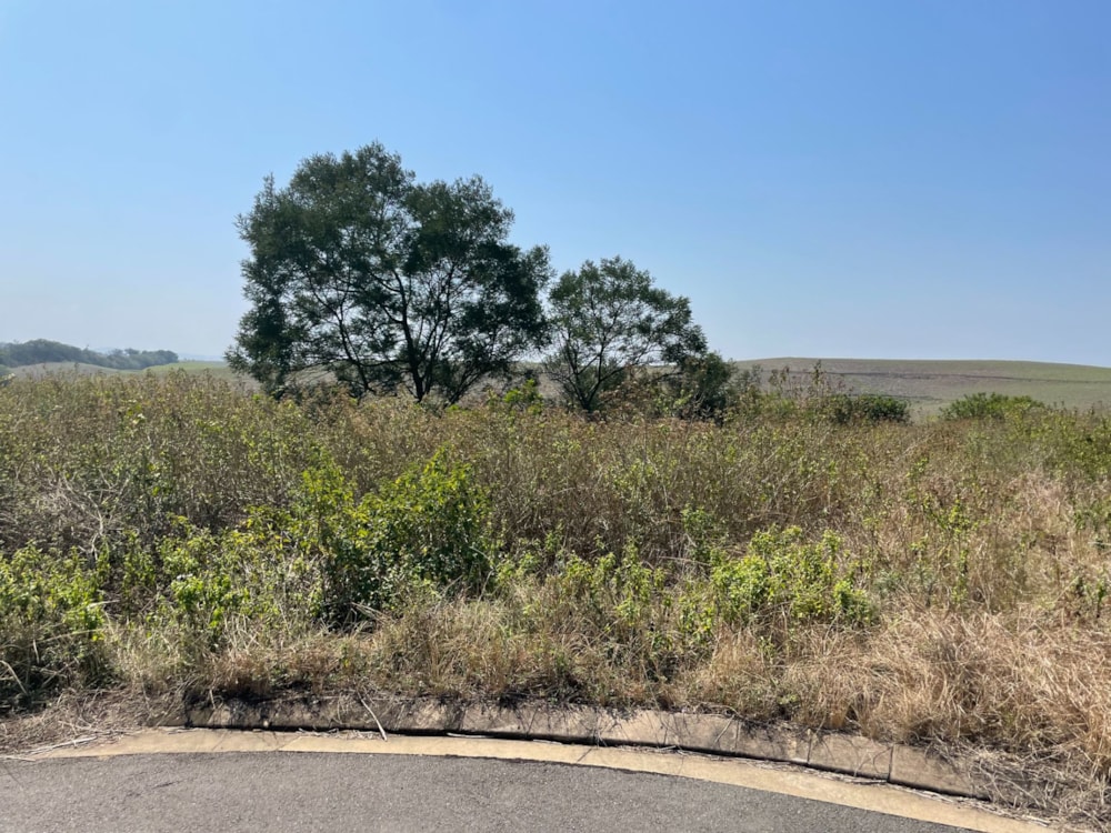 Residential vacant land for sale in Palm Lakes Estates - 1BD1586702 Residential vacant land for sale in Palm Lakes Estates - 1BD1586702