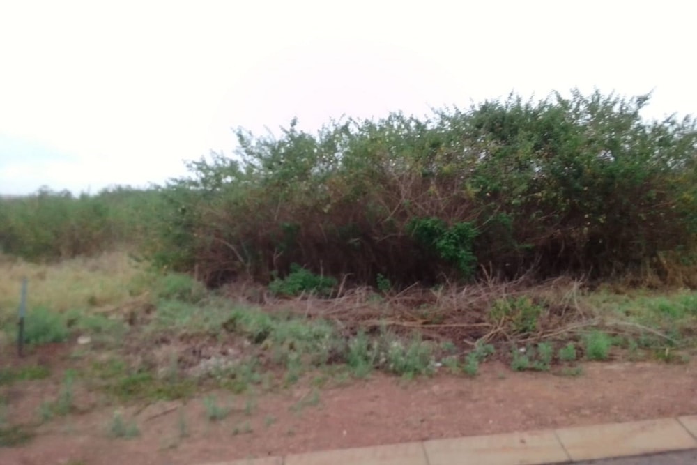 Vacant land for sale in Riverside Estate, Tzaneen - 1TA1681261