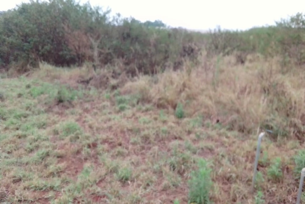 Vacant land for sale in Riverside Estate, Tzaneen - 1TA1681261