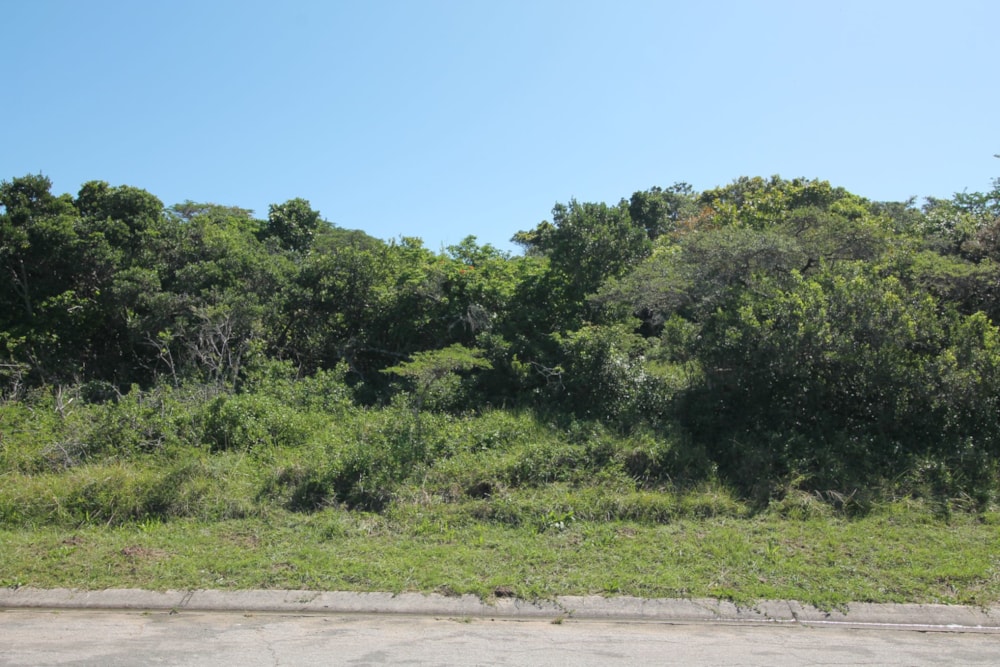 Residential vacant land for sale in Seafield, Kleinemonde - 1PF1588222