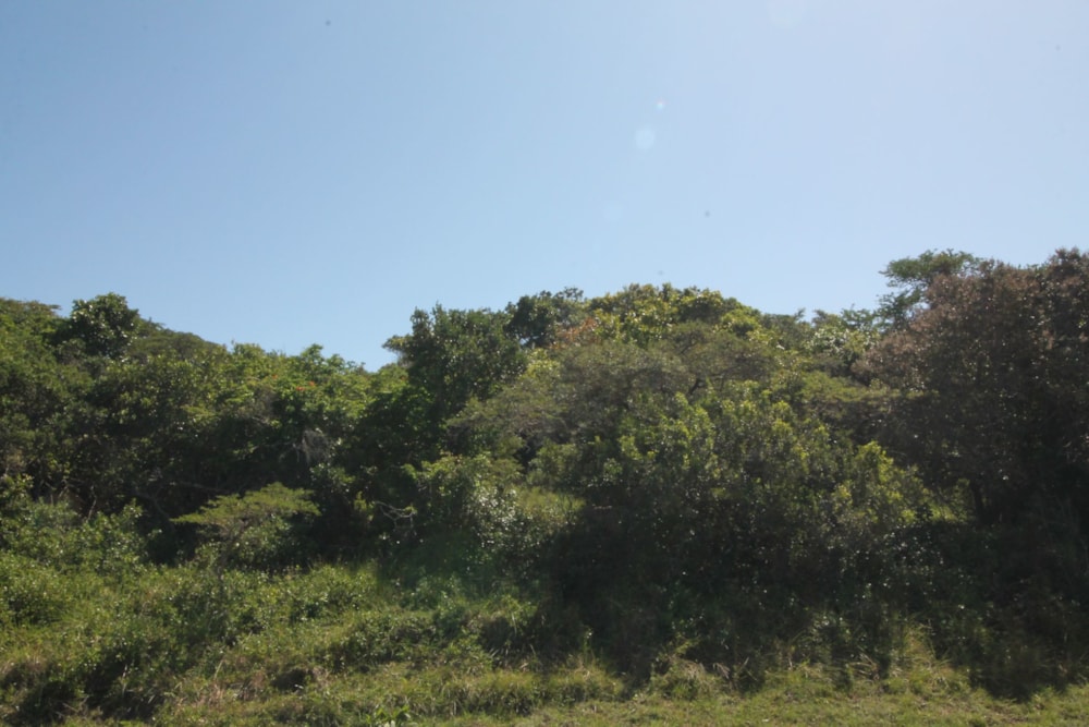 Residential vacant land for sale in Seafield, Kleinemonde - 1PF1588222