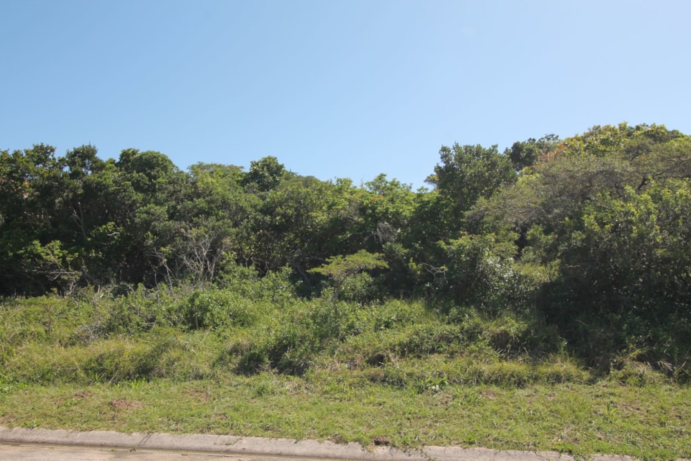 Residential vacant land for sale in Seafield, Kleinemonde - 1PF1588222