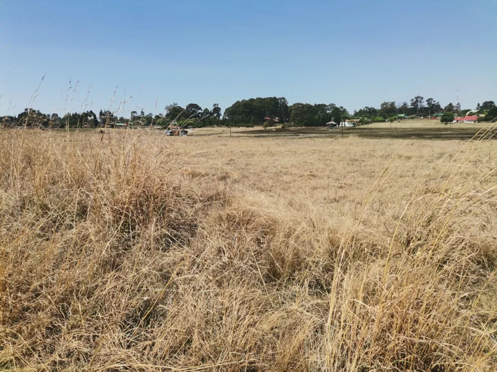 Vacant land for sale in Dullstroom - 1DS1755292 Vacant land for sale in Dullstroom - 1DS1755292