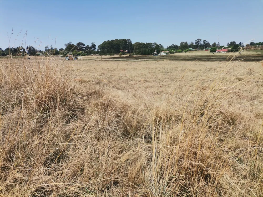 Vacant land for sale in Dullstroom - 1DS1755292 Vacant land for sale in Dullstroom - 1DS1755292