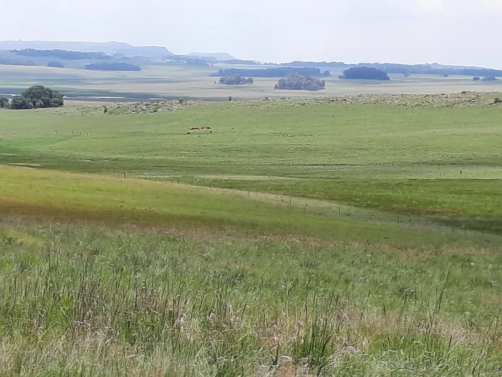 Mixed use farm sold in Dullstroom - 1DS1747126