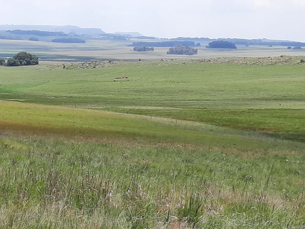 Mixed use farm for sale in Dullstroom - 1DS1587295 Mixed use farm for sale in Dullstroom - 1DS1587295