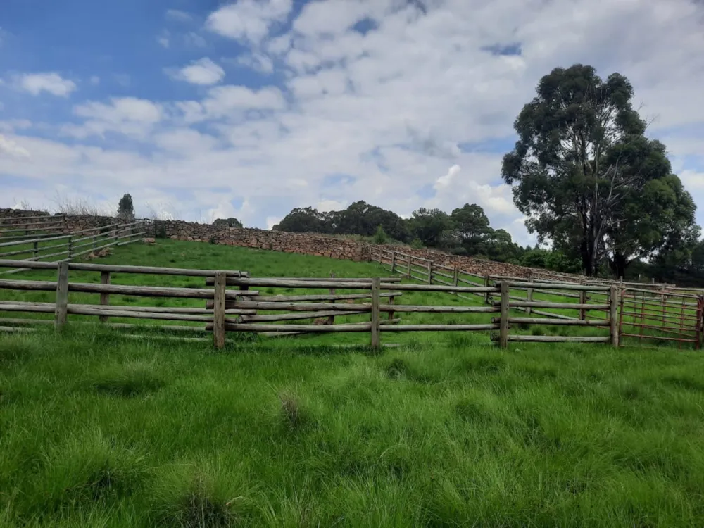 Mixed use farm sold in Dullstroom - 1DS1747126