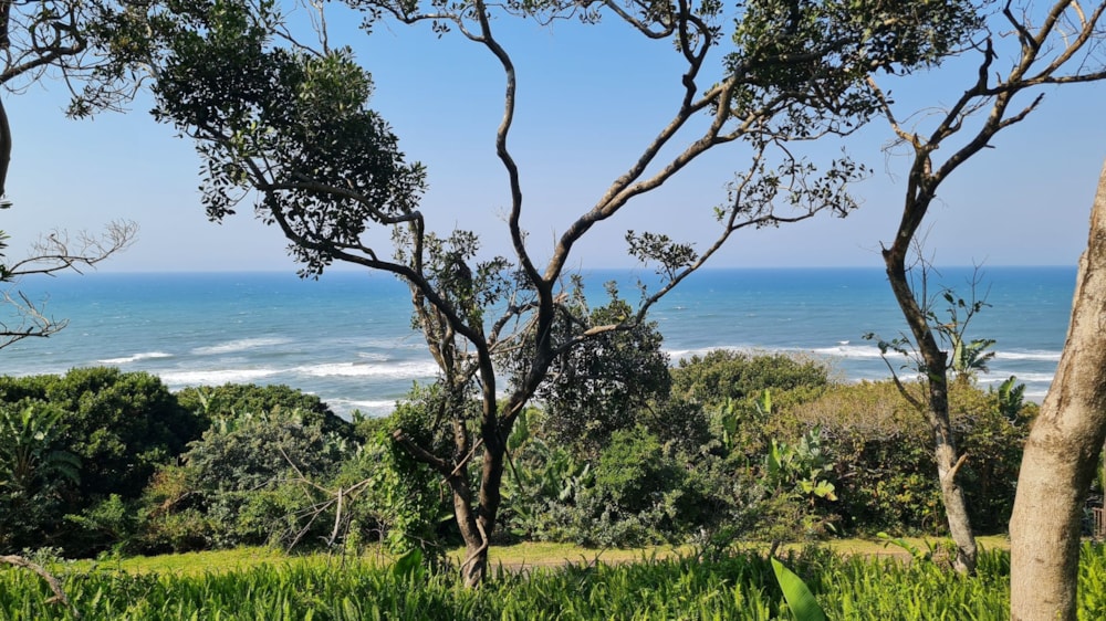 Residential vacant land for sale in Trafalgar - 1PD1034338