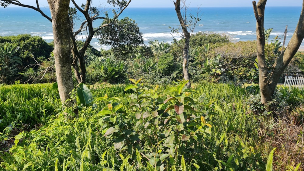 Residential vacant land for sale in Trafalgar - 1PD1034338