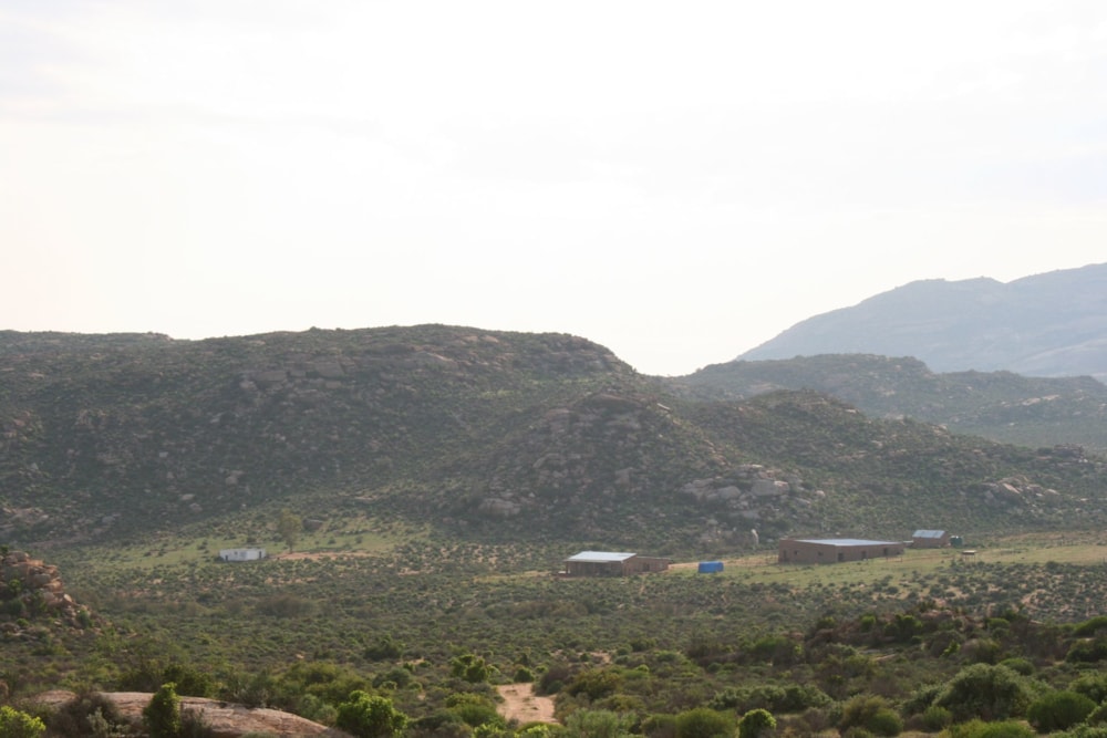 Livestock farm for sale in Springbok Central - 1NA1584283