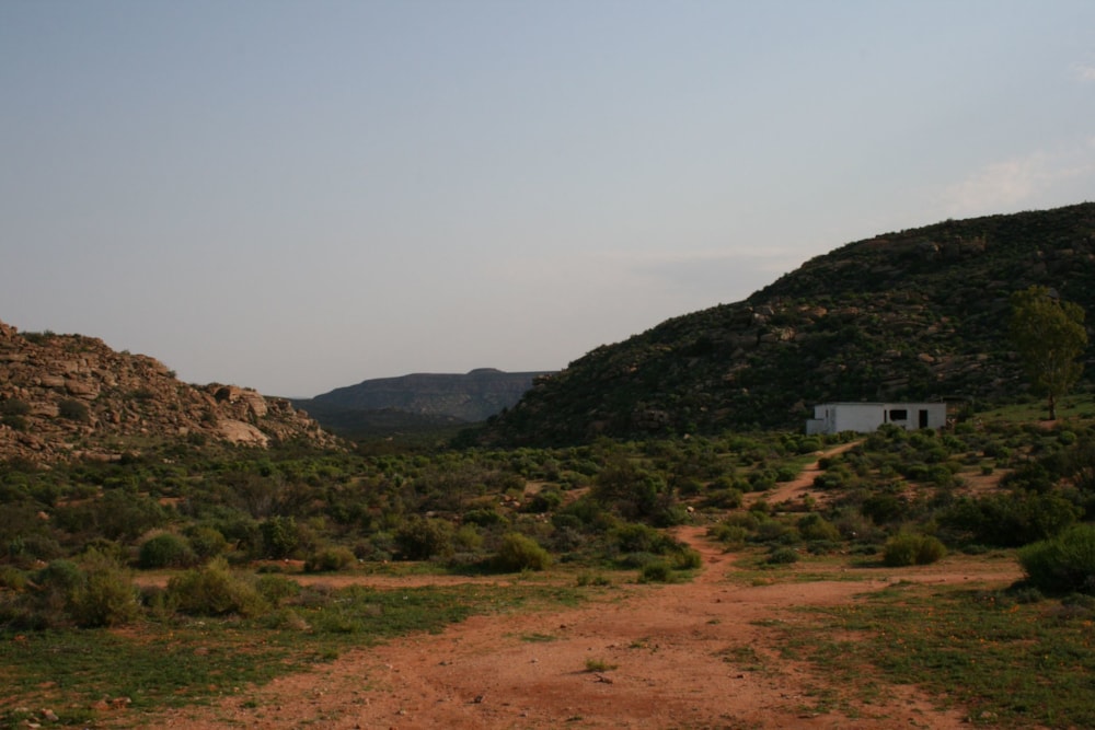 Livestock farm for sale in Springbok Central - 1NA1584283