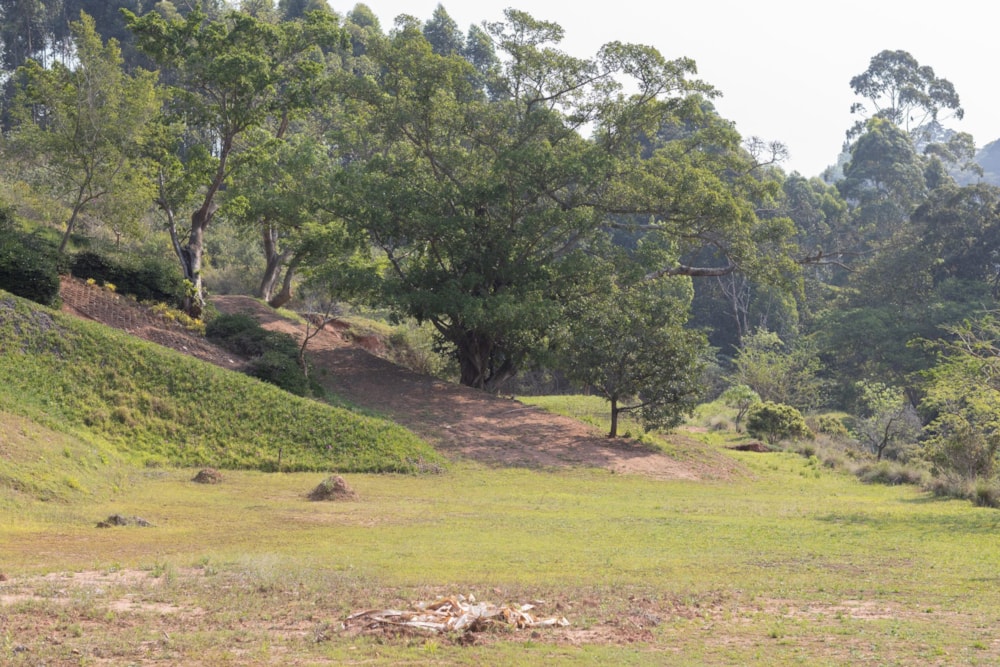 Residential vacant land for sale in Everton - 1KF1378847 Residential vacant land for sale in Everton - 1KF1378847