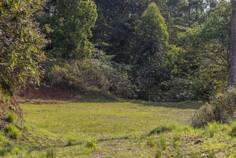 Residential vacant land for sale in Everton - 1KF1378847 Residential vacant land for sale in Everton - 1KF1378847