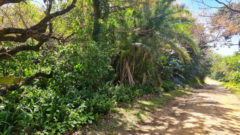 Vacant land for sale in Leisure Bay - 1PD1584367 Vacant land for sale in Leisure Bay - 1PD1584367