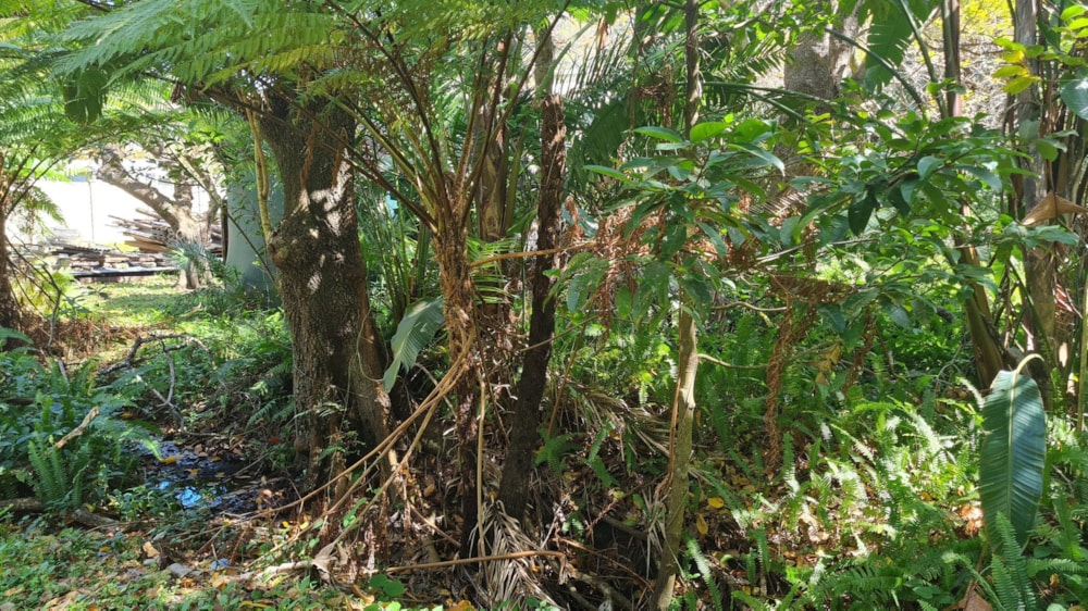 Vacant land for sale in Leisure Bay - 1PD1584367 Vacant land for sale in Leisure Bay - 1PD1584367